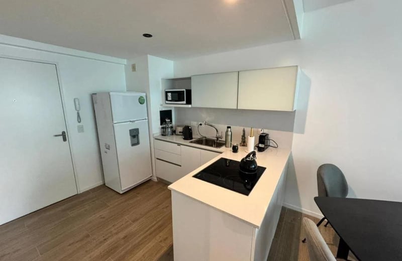 Rental of a cozy 2-room apartment, 50 m², Palermo Nuevo, Buenos Aires, Argentina